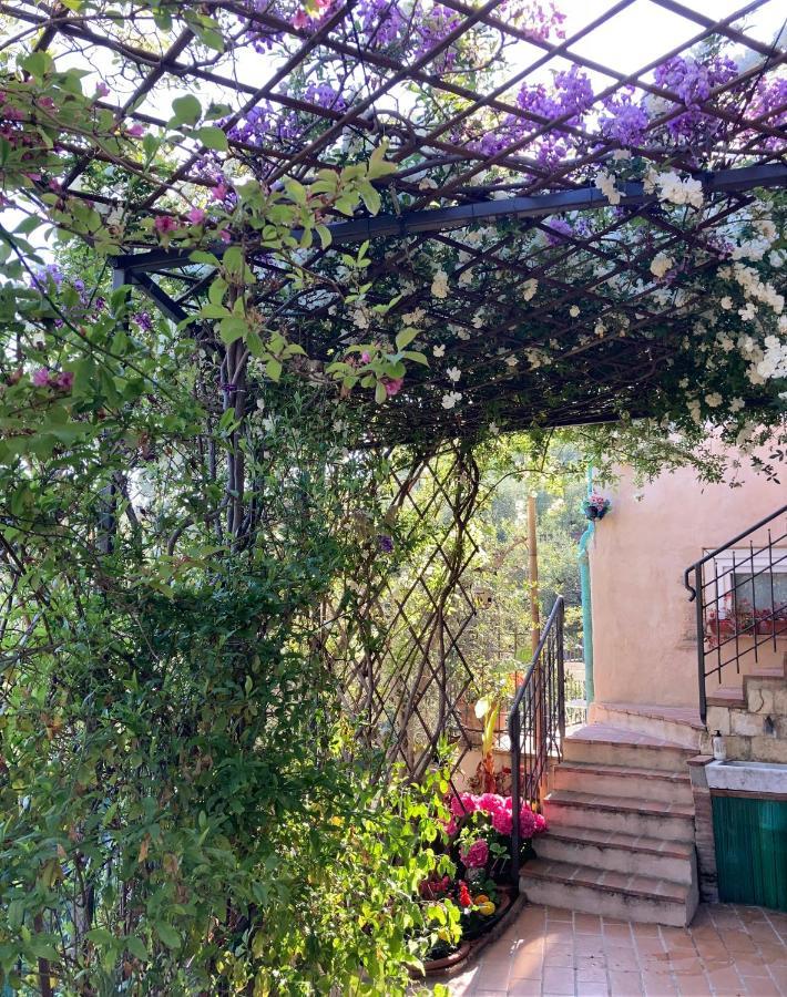 Corsanico-Bargecchia La Casina Delle Rondiniゲストハウス エクステリア 写真