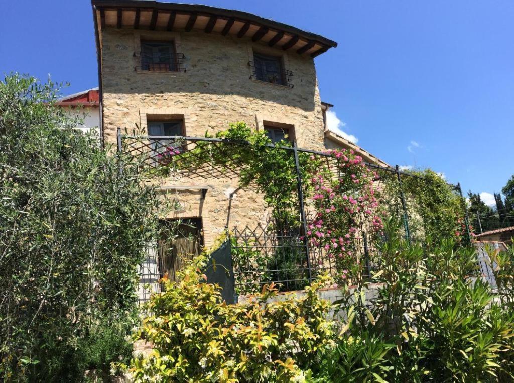 Corsanico-Bargecchia La Casina Delle Rondiniゲストハウス エクステリア 写真